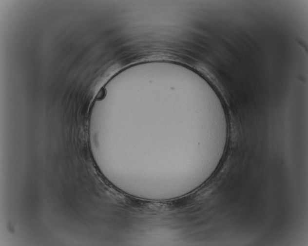 X0000100481097200807031845