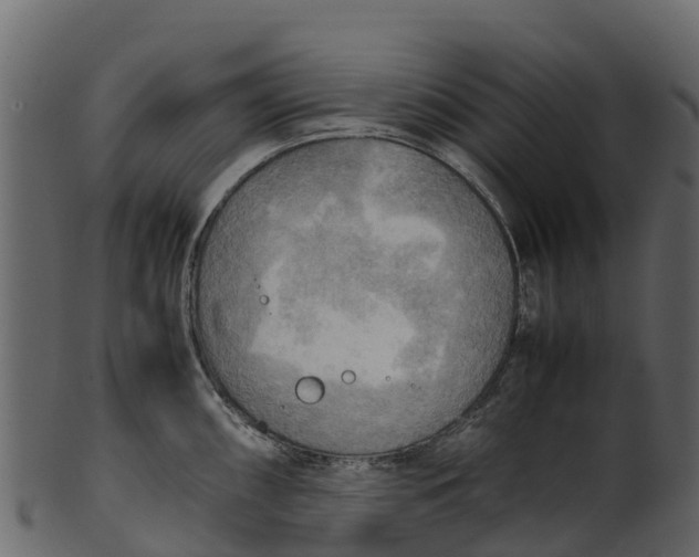 X0000100481098200807031845