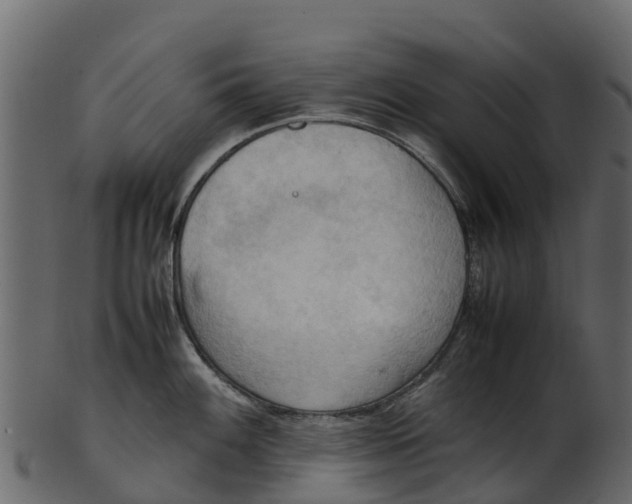 X0000100481100200807031845