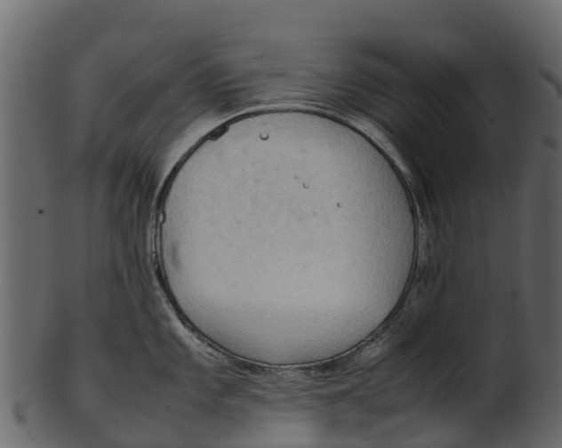 X0000100481101200807031845