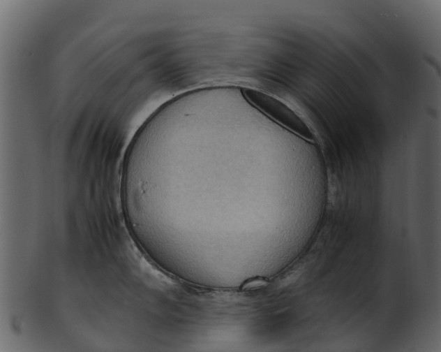 X0000100481102200807031845