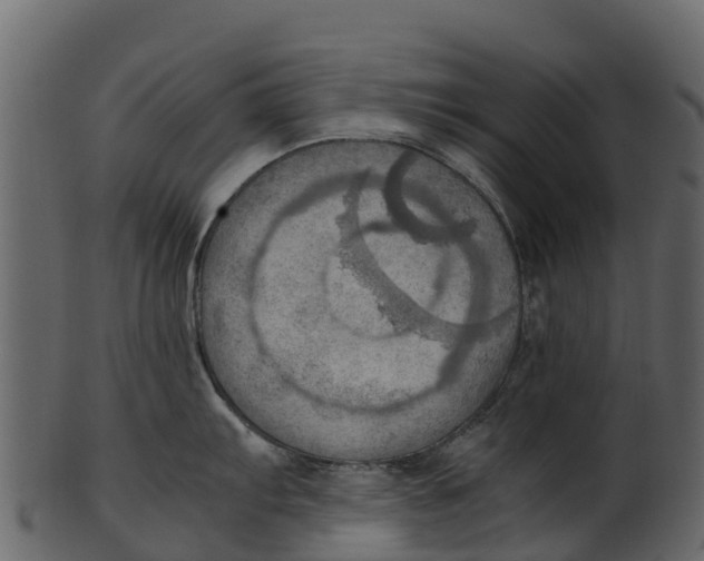 X0000100481103200807031845