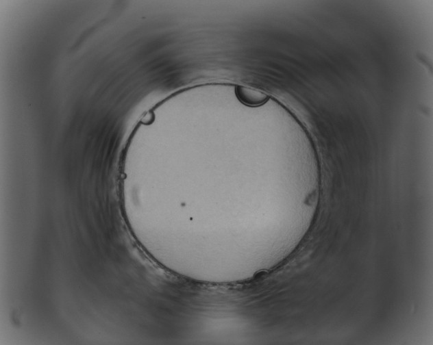 X0000100481104200807031845