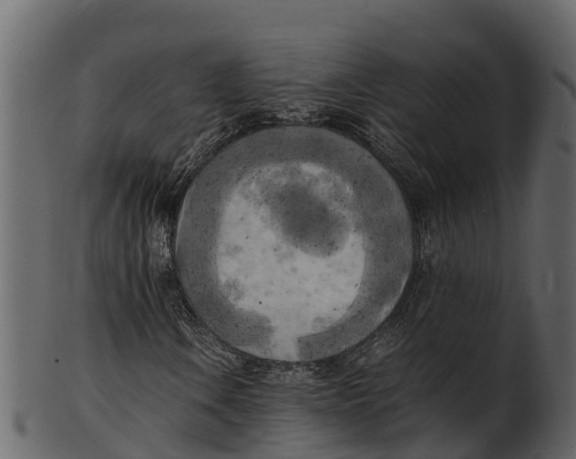 X0000100481106200807031845