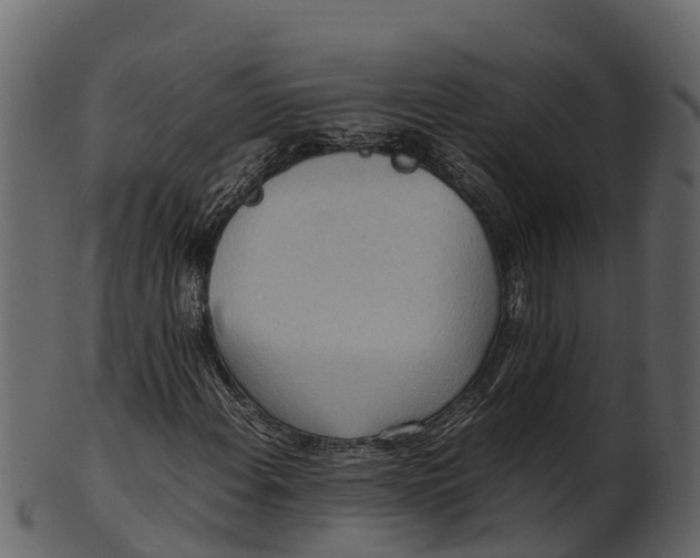 X0000100481108200807031845