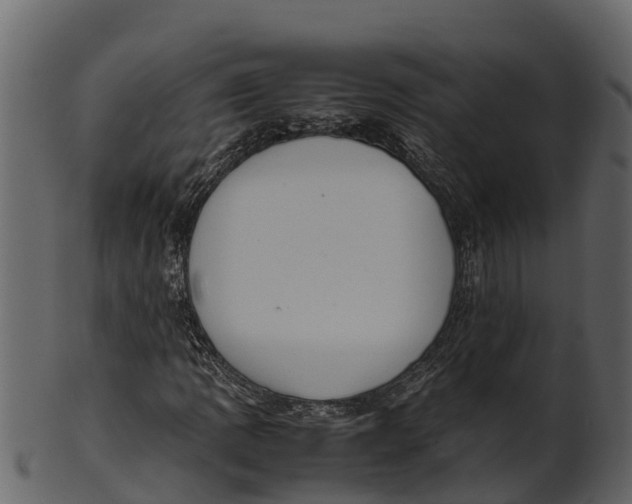 X0000100481109200807031845