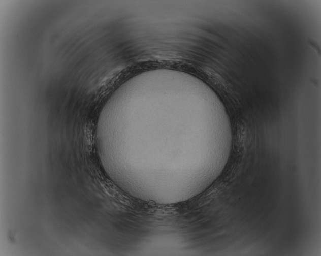 X0000100481110200807031845