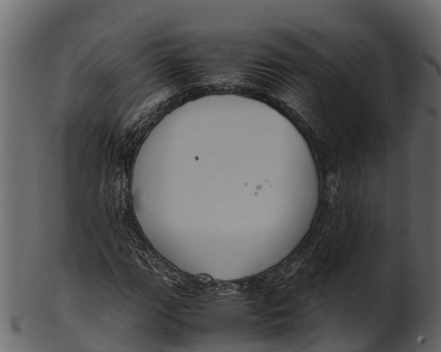 X0000100481111200807031845