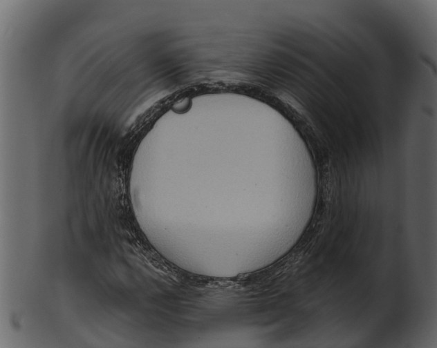 X0000100481112200807031845