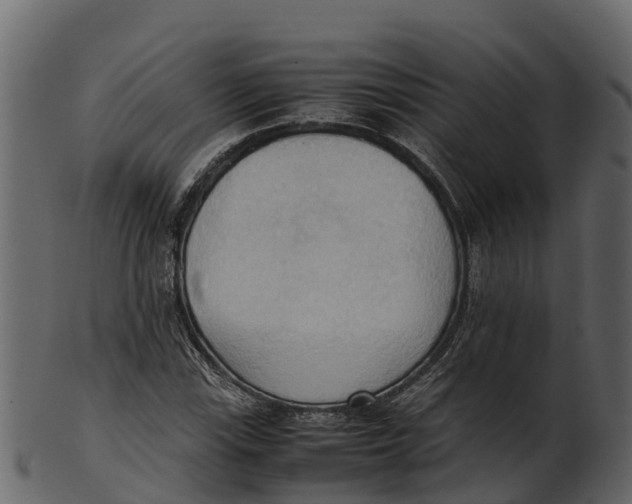 X0000100481115200807031845