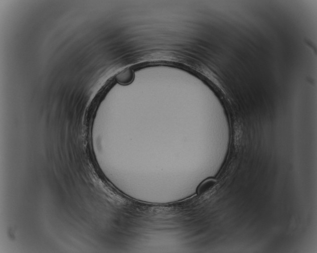 X0000100481116200807031845