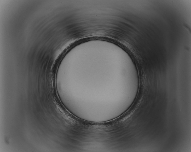 X0000100481118200807031845