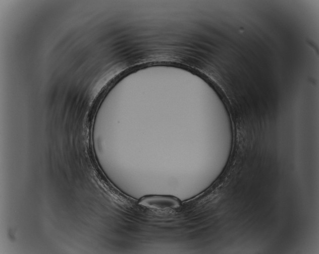 X0000100481119200807031845