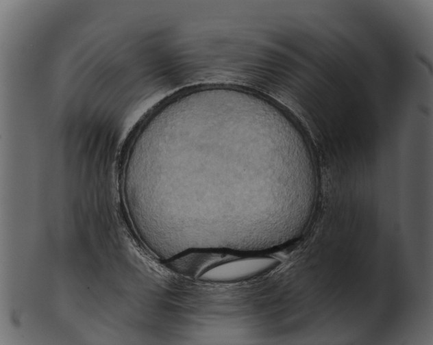 X0000100481120200807031845