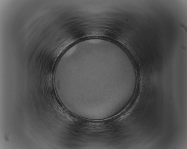 X0000100481121200807031845