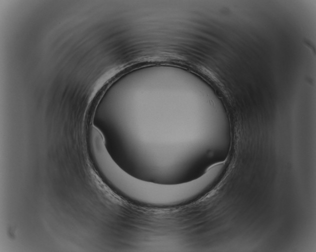 X0000100481122200807031845