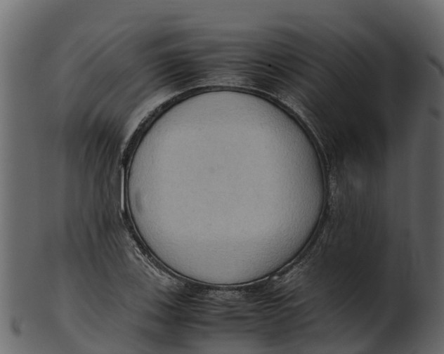 X0000100481123200807031845