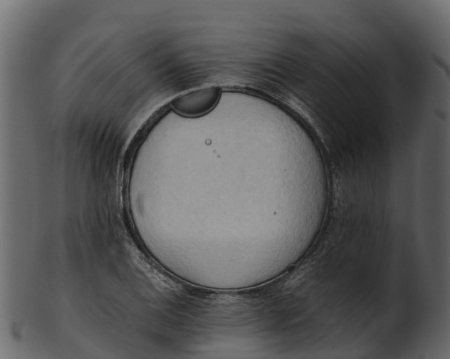 X0000100481124200807031845