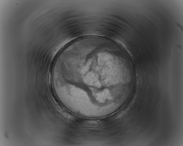 X0000100481125200807031845