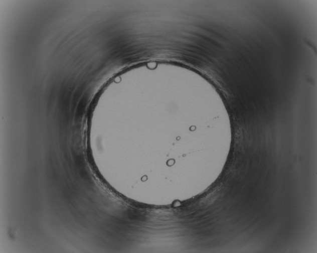 X0000100481126200807031845