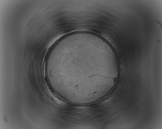 X0000100481127200807031845