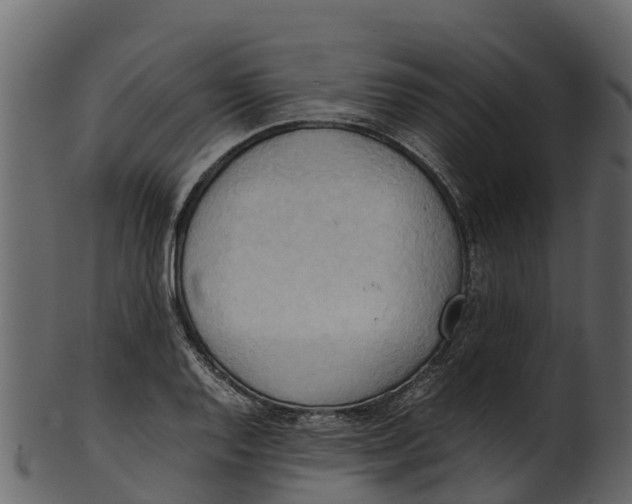 X0000100481128200807031845