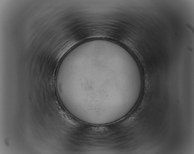 X0000100481129200807031845