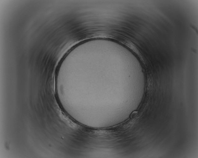 X0000100481132200807031845