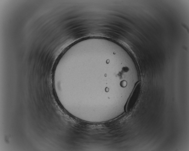 X0000100481133200807031845