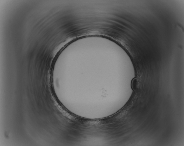 X0000100481134200807031845