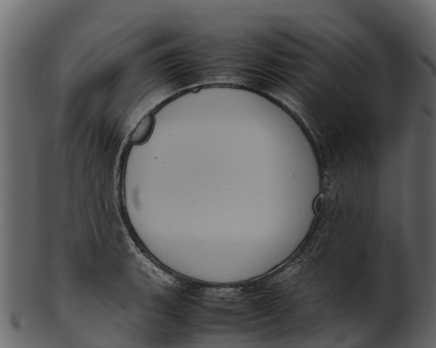 X0000100481135200807031845