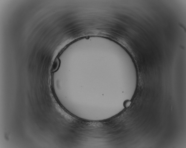 X0000100481136200807031845