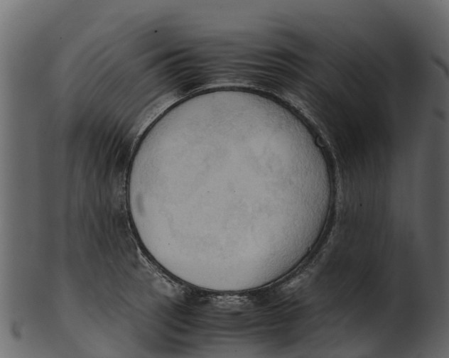 X0000100481137200807031845