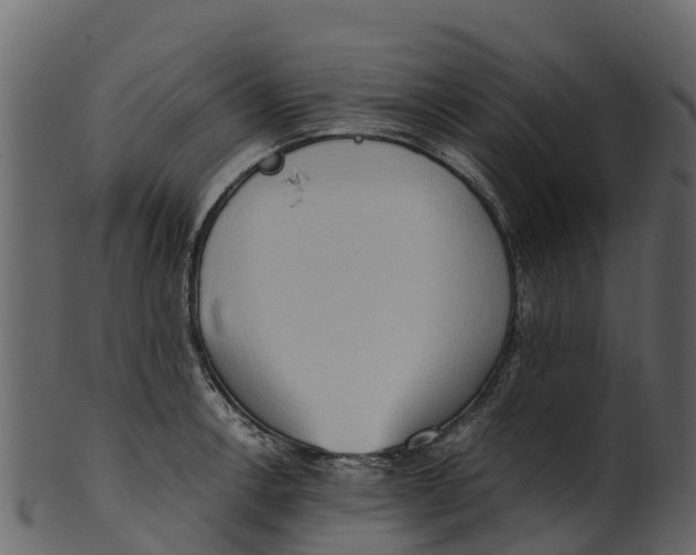 X0000100481138200807031845