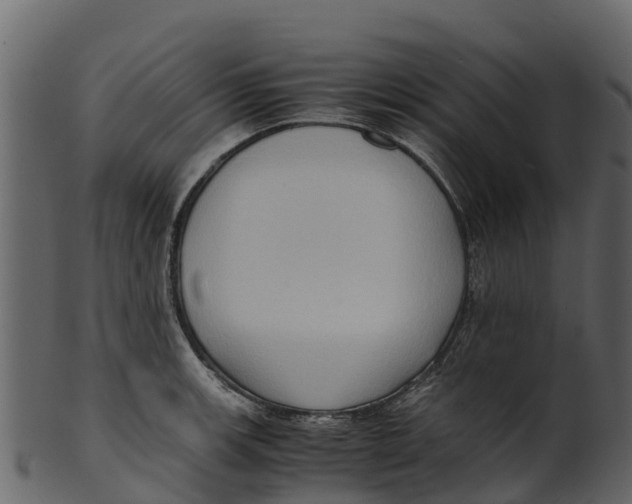 X0000100481139200807031845