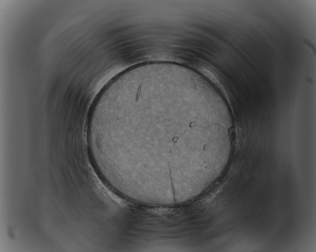 X0000100481141200807031845