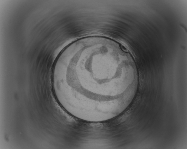 X0000100481142200807031845