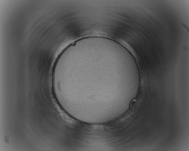 X0000100481144200807031845