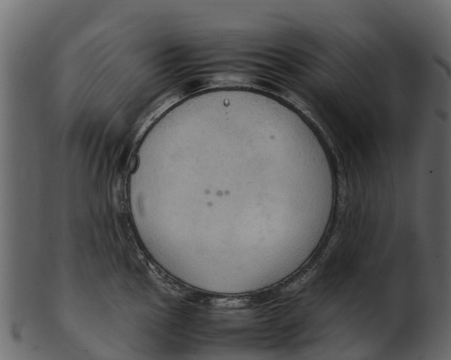 X0000100481145200807031845