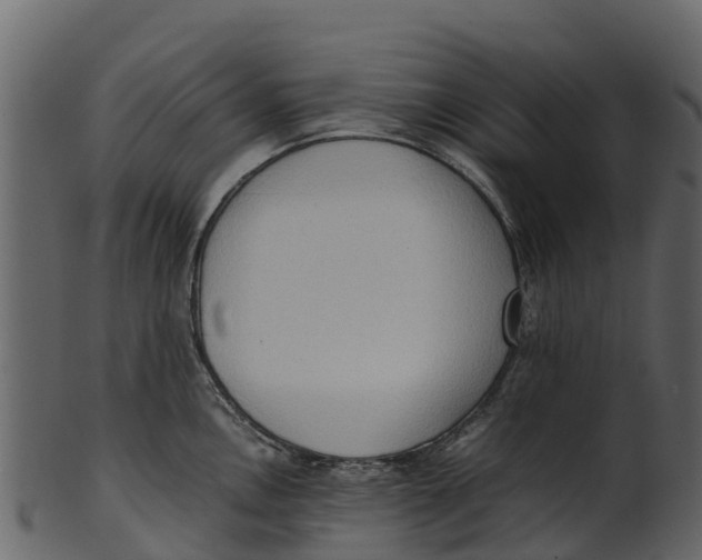 X0000100481146200807031845