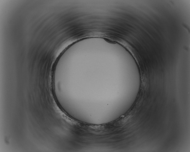 X0000100481147200807031845