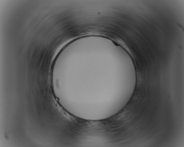 X0000100481148200807031845