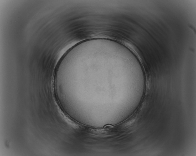 X0000100481149200807031845