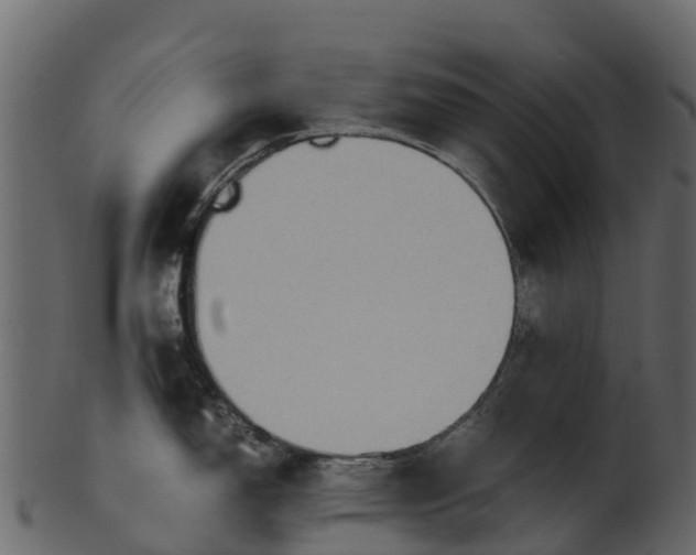 X0000100481150200807031845