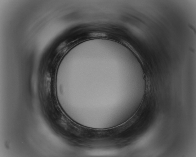 X0000100481151200807031845