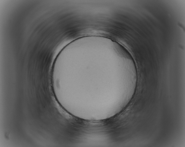 X0000100481152200807031845