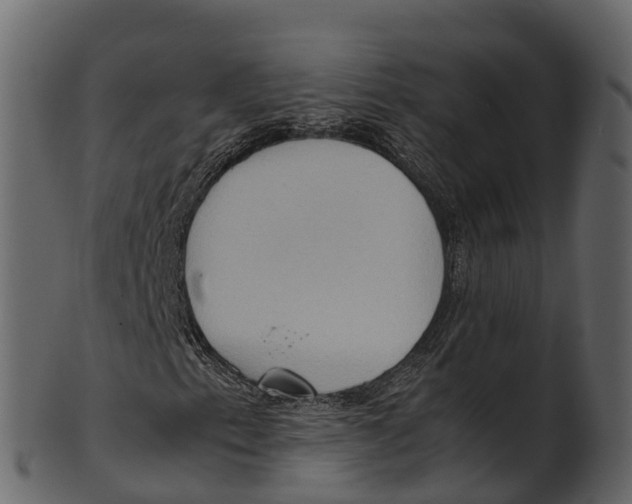 X0000100481153200807031845