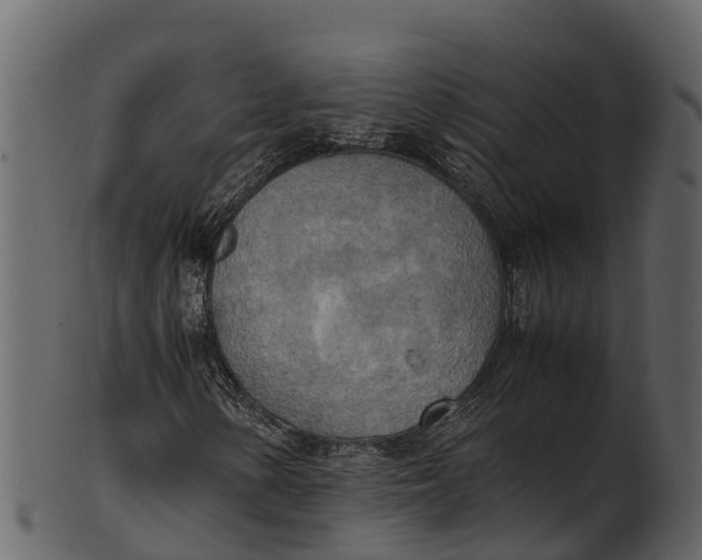 X0000100481154200807031845