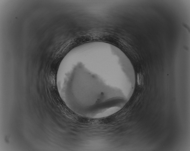 X0000100481155200807031845