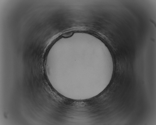 X0000100481168200807031844